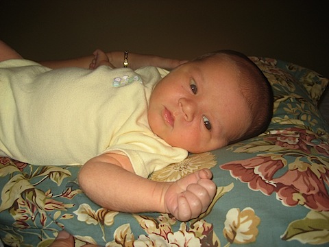 IMG_8747.JPG