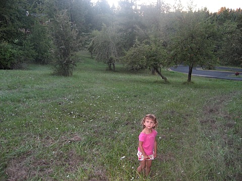 IMG_3796.JPG