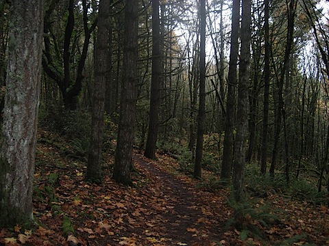 IMG_4343.JPG